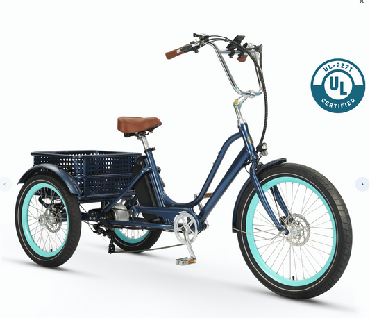 Relaxed Body 750 watt Electric Tricycle