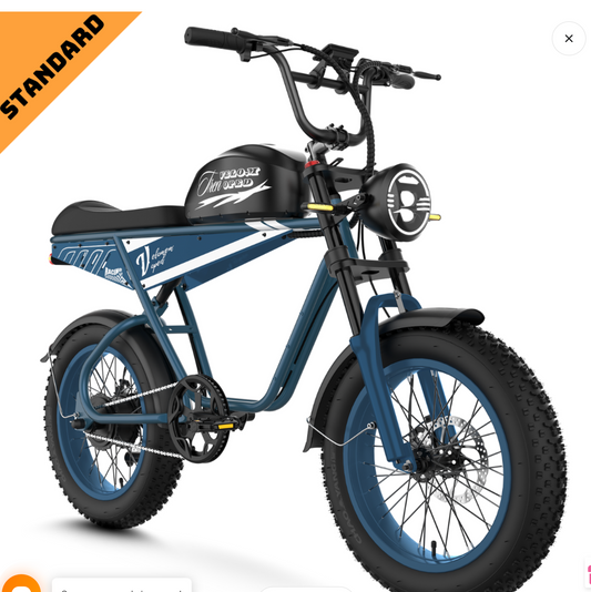 AIPAS V1 Velo Moped 30Ah