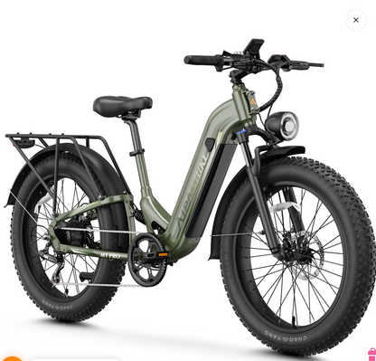 M1 Pro Xterrain ST Ebike
